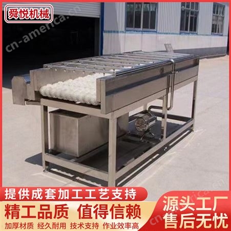 600-2000型大姜清洗去泥机 不锈钢胡萝卜清洗设备 海蛎子毛辊清洗机 支持定制